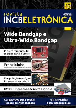 Revista INCB Eletrônica N° 4 - Maio-Junho/2021